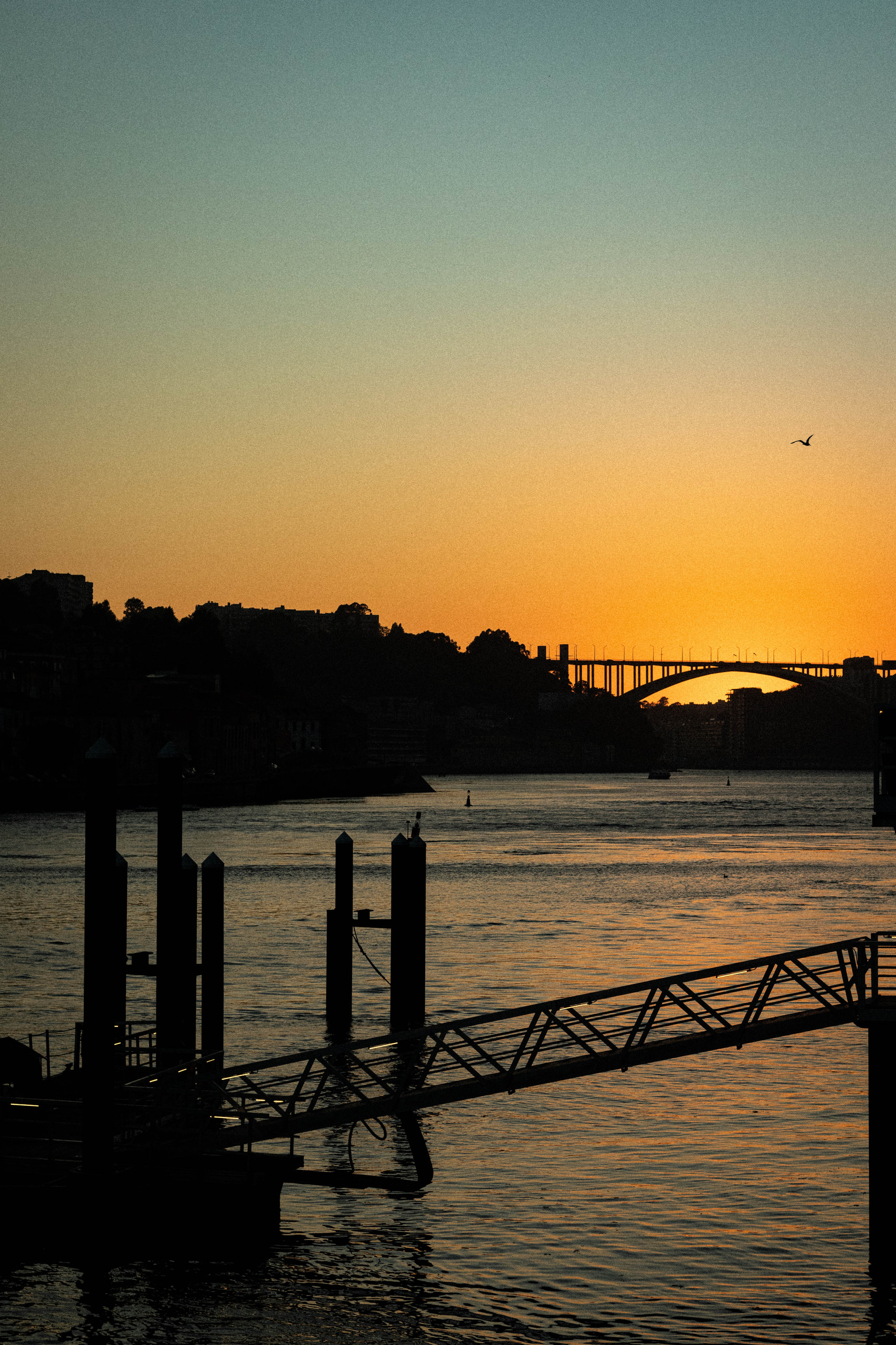 Porto — Otros, Fotografía Documental (2024). Plate 8 de 9 · fotografía por Quim Miquel